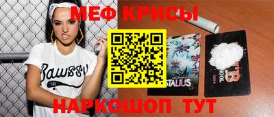 герыч Кингисепп
