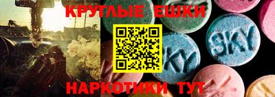 герыч Кингисепп