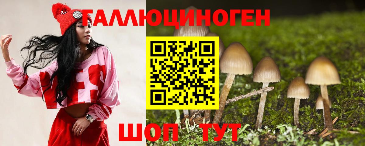 Псилоцибиновые грибы мухоморы  сколько стоит  Чебоксары  Вход с VPN 